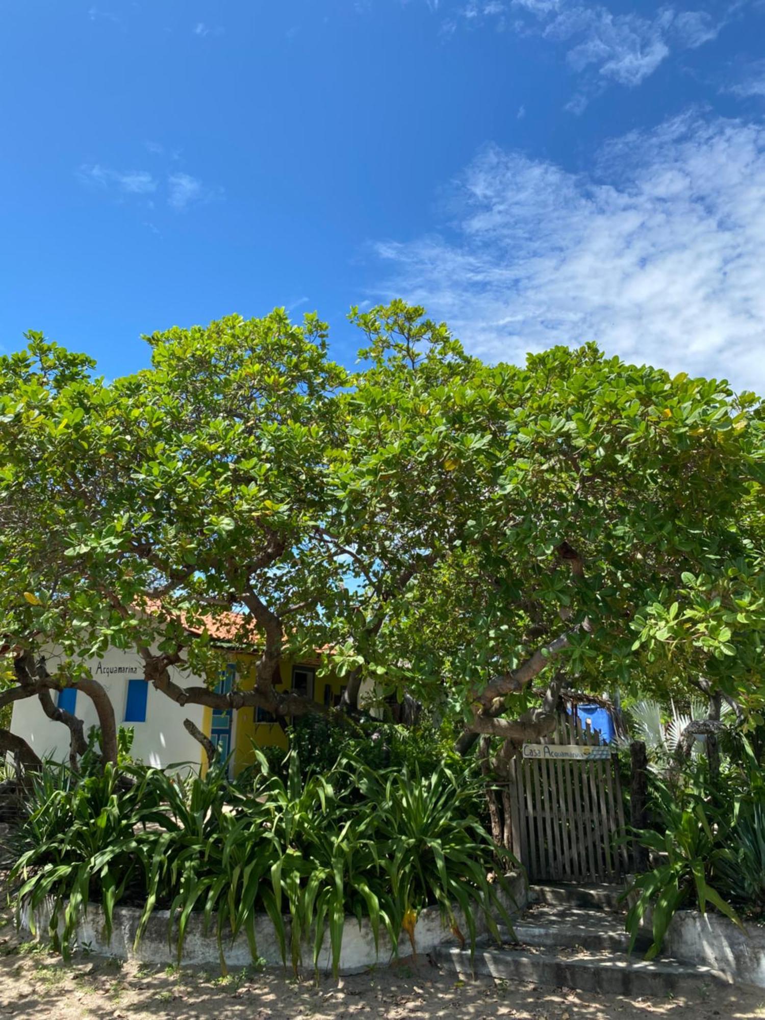 ホテル Casa Acquamarina アチンス エクステリア 写真