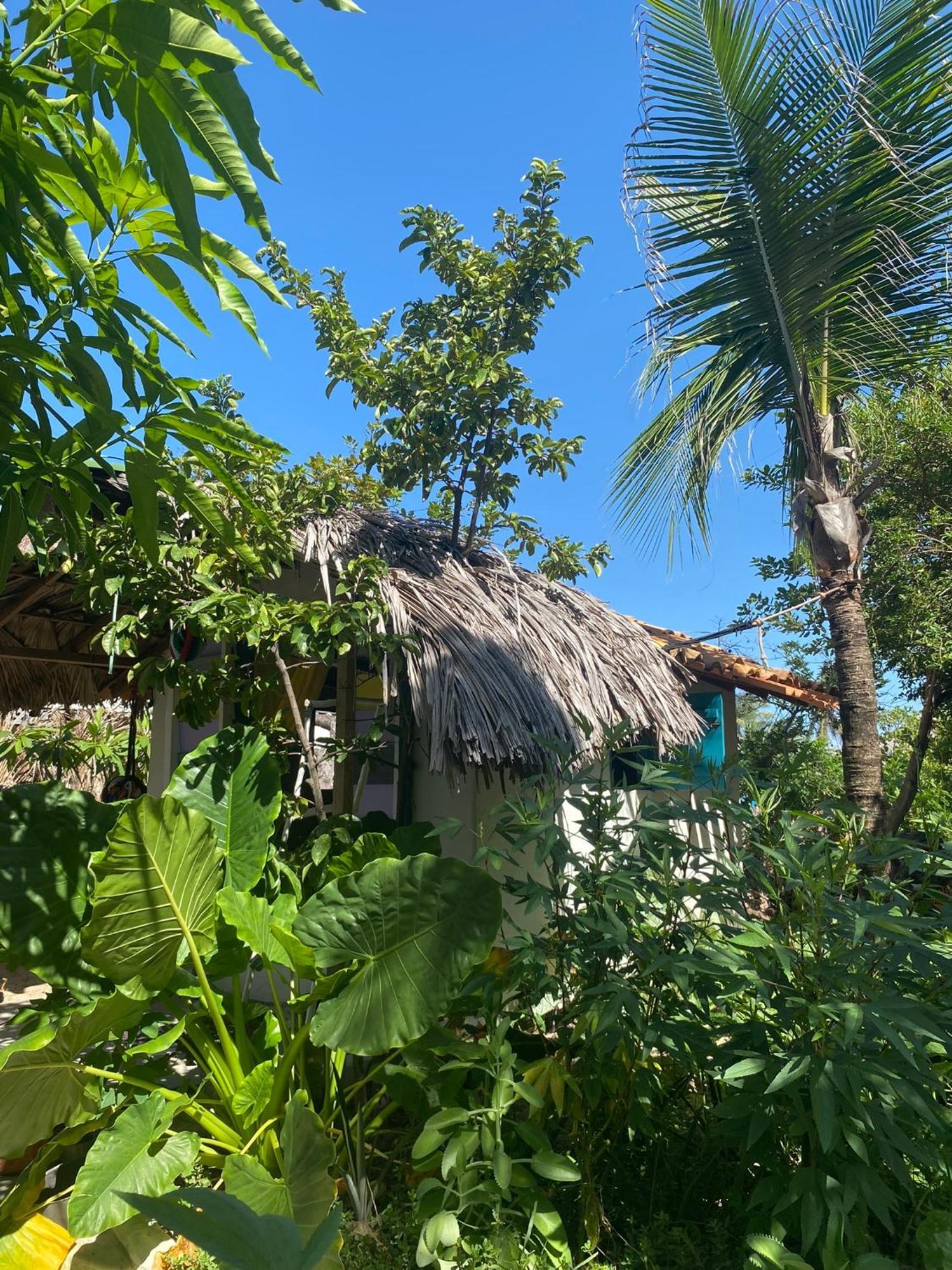 ホテル Casa Acquamarina アチンス エクステリア 写真